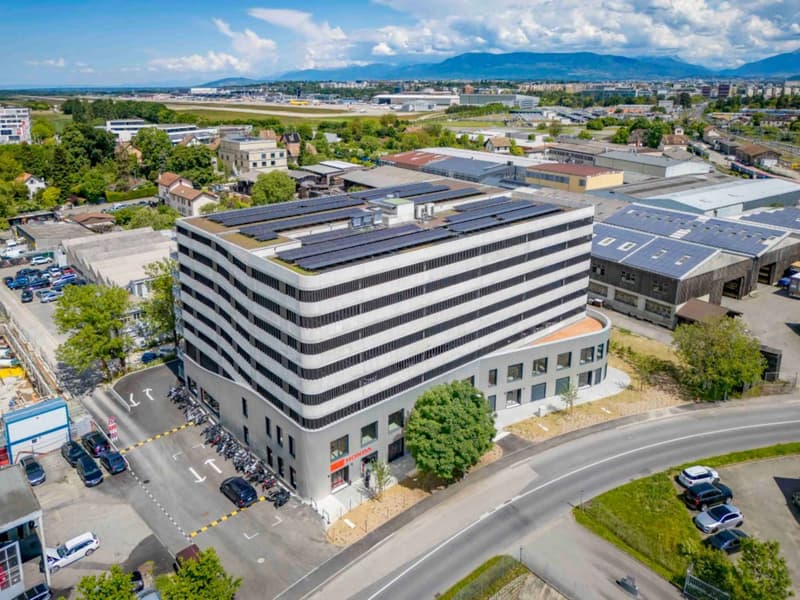 Atelier / Showroom de 750 m² à Meyrin (8)