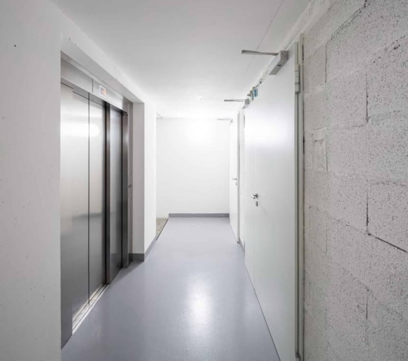 Atelier / Showroom de 750 m² à Meyrin (4)
