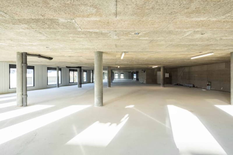 Atelier / Showroom de 750 m² à Meyrin (3)