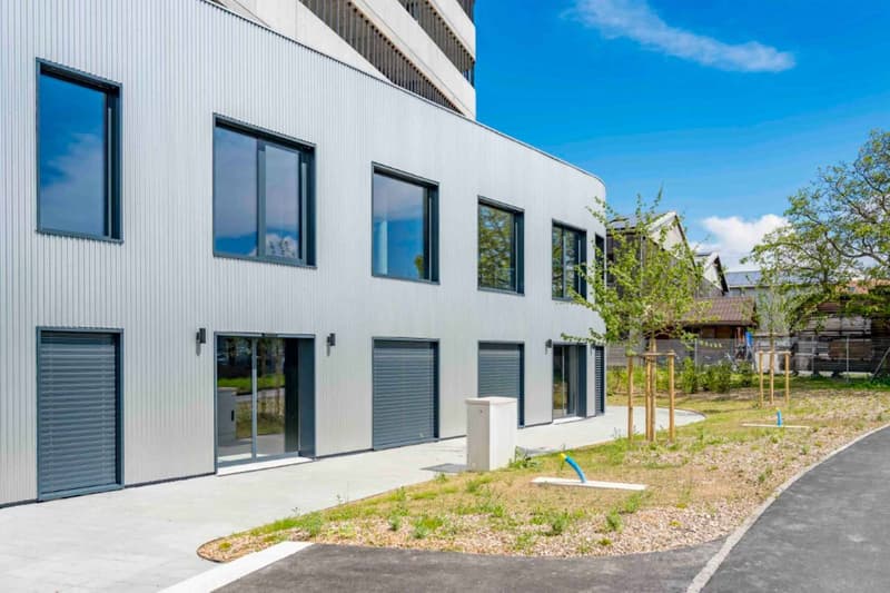 Atelier / Showroom de 750 m² à Meyrin (5)