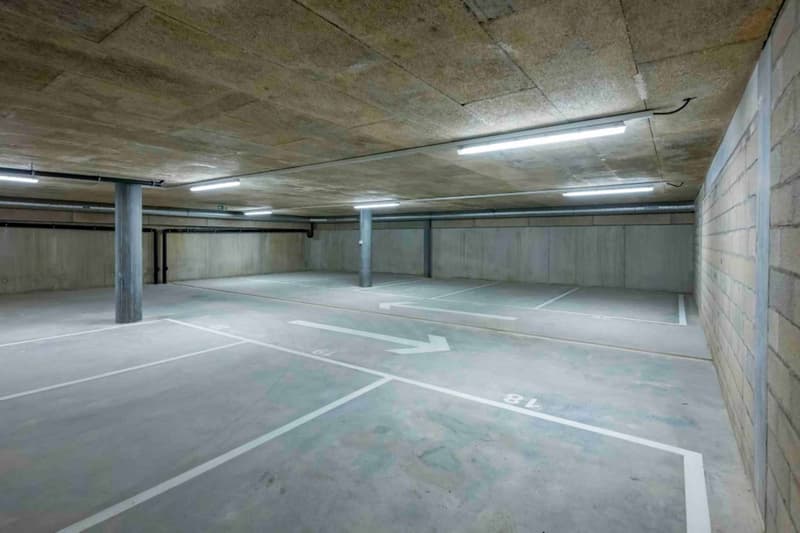 Atelier / Showroom de 350 m² à Meyrin (7)