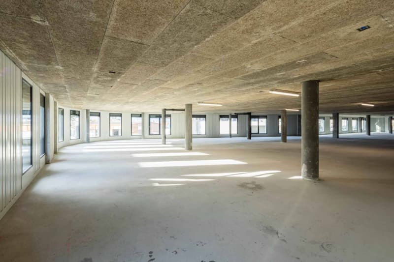 Atelier / Showroom de 350 m² à Meyrin (3)