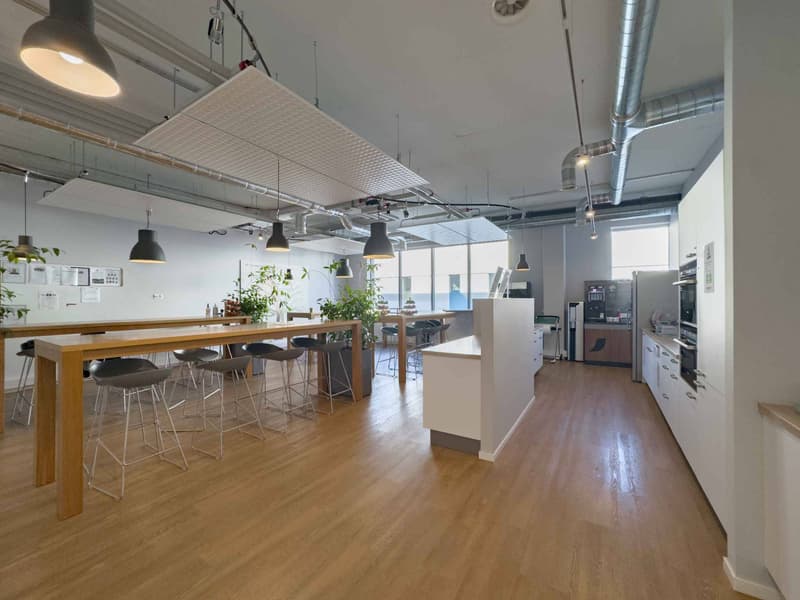 Ateliers et bureaux aménagés de 732 m²  Meyrin (9)