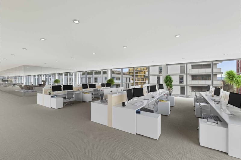 Bureaux d'exception au cur du Quartier de l'Étang jusqu'à 1'600 m² divisibles (3)