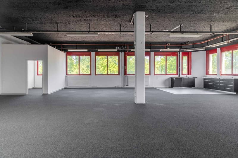 Surface polyvalente de 205m² à Meyrin (1)