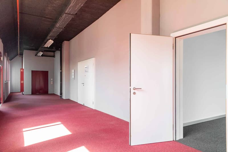 Surface polyvalente de 205m² à Meyrin (7)