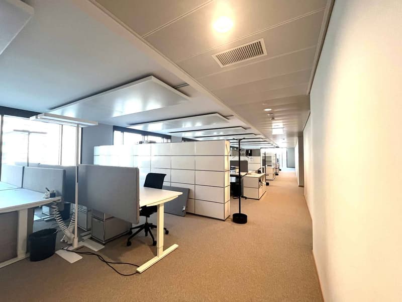 Bureaux modernes et lumineux  310 m² Gare de Lancy Bachet (7)