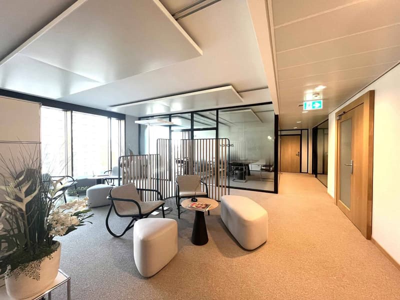 Bureaux modernes et lumineux  310 m² Gare de Lancy Bachet (2)