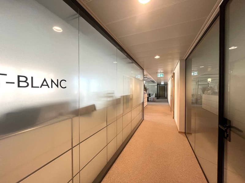 Bureaux modernes et lumineux  620 m² Gare de Lancy Bachet (5)