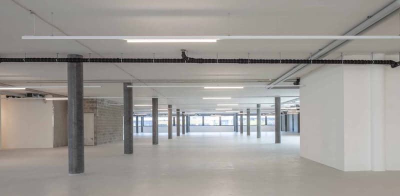 Magnifiques surfaces de bureaux 995m2 - Zone industrielle de PLO (5)