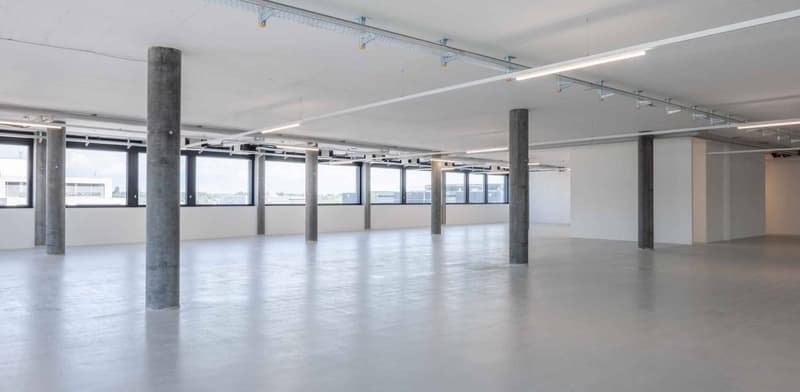 Magnifiques surfaces de bureaux 1468m2 - Zone industrielle de PLO (2)