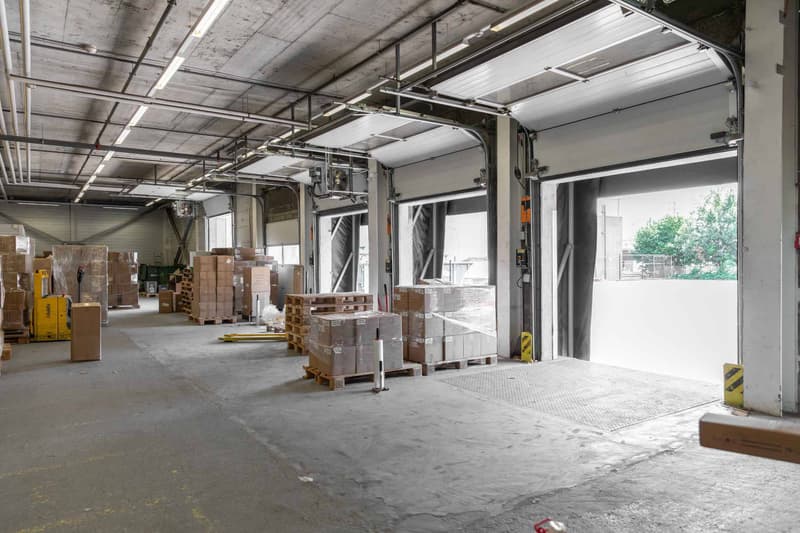 RARE ! Surface d'atelier dès 1'000 m² au centre de Genève (2)