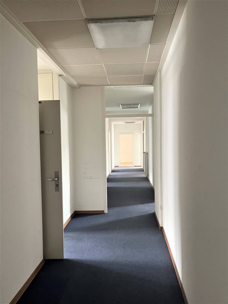 Surface très lumineuse - 305m2 bureaux (4)