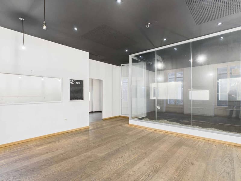 Arcade de 120m2 avec sous-sol - Restauration (8)