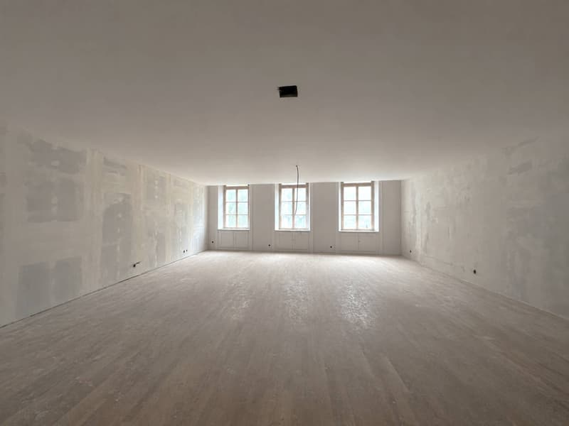 BUREAUX D'EXCEPTION DE 177 M² - RUE DE LA CROIX-D'OR (2)