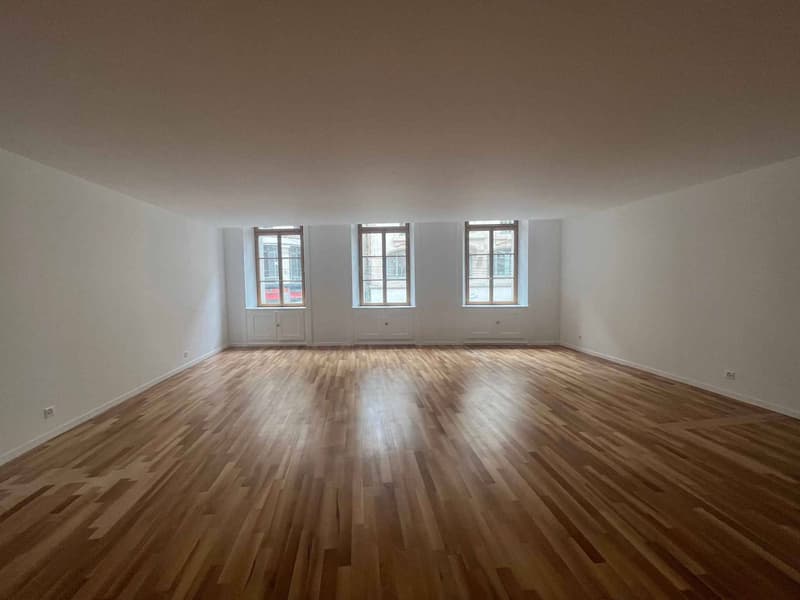 BUREAUX D'EXCEPTION DE 177 M² - RUE DE LA CROIX-D'OR (11)