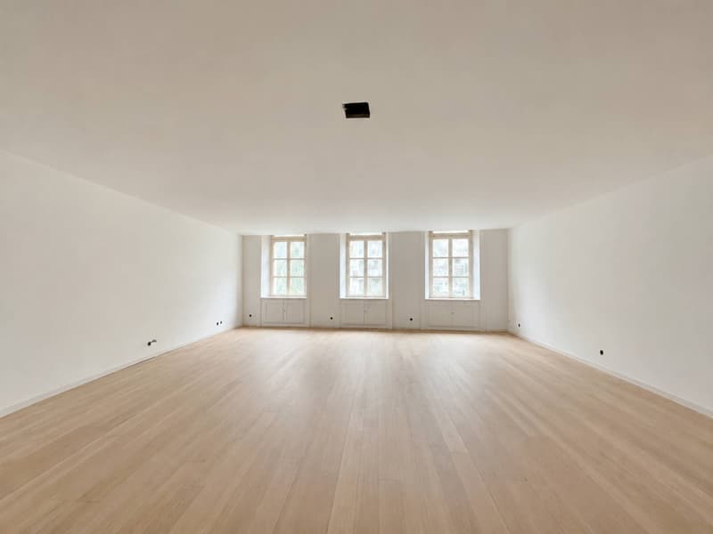 BUREAUX D'EXCEPTION DE 177 M² - RUE DE LA CROIX-D'OR (3)