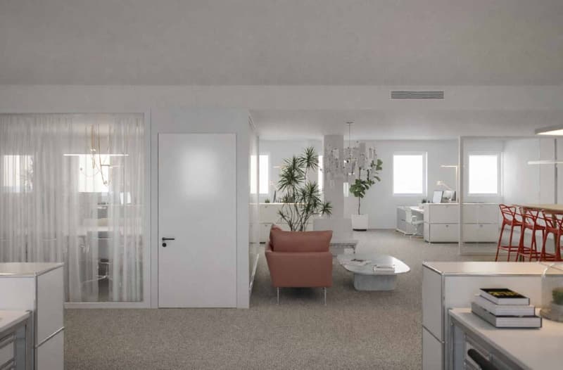 Bureaux secteur Plainpalais/HUG (6)