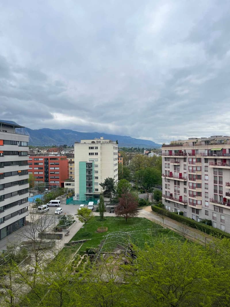 Bureaux secteur Plainpalais/HUG (9)