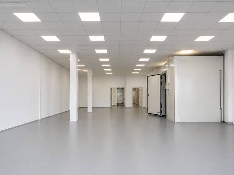 Surface polyvalente de 180 m²  Chemin du Château-Bloch 10 (2)
