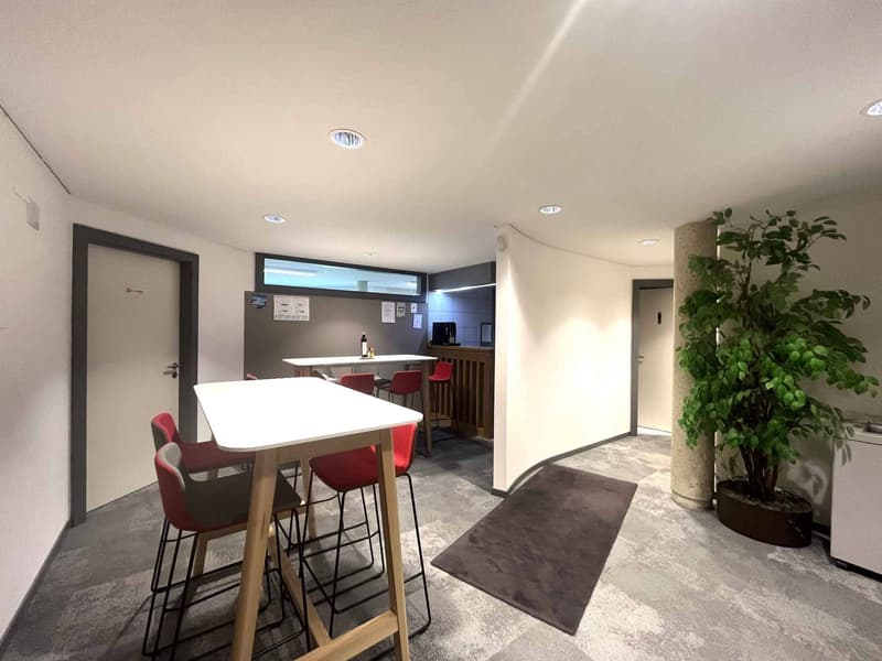 Bureaux administratifs meublés de 118 m²  Carouge (7)