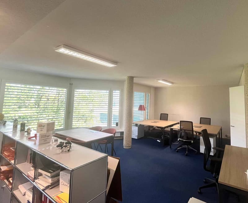 Bureaux administratifs meublés de 118 m²  Carouge (6)