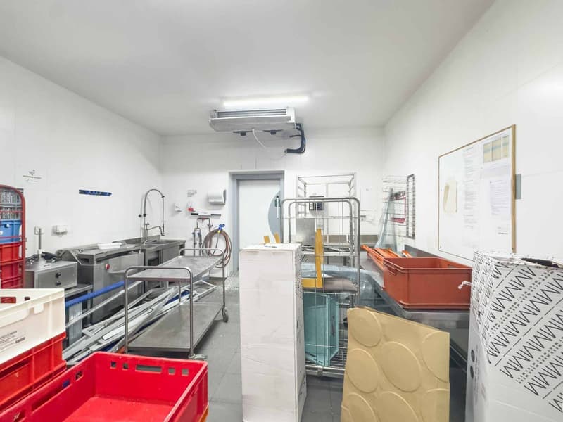 Atelier / logistique avec grande hauteur et mezzanine  Meyrin (8)