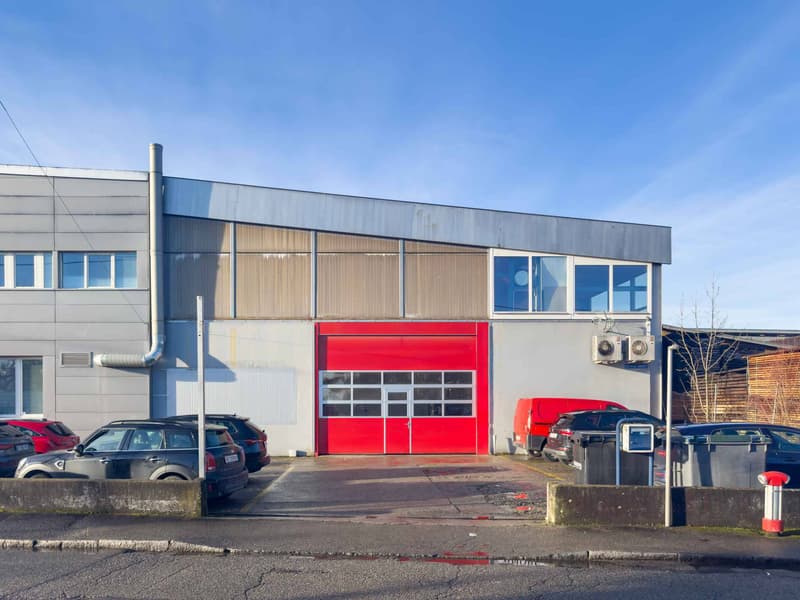 Atelier / logistique avec grande hauteur et mezzanine  Meyrin (9)