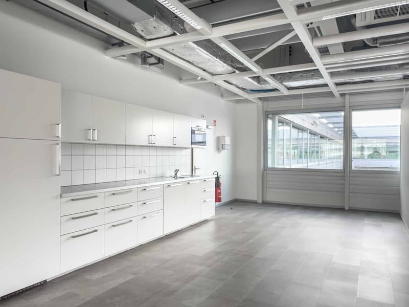 Vernier - Plateau de 5'000 m2 en attique - Immeuble IKEA (8)