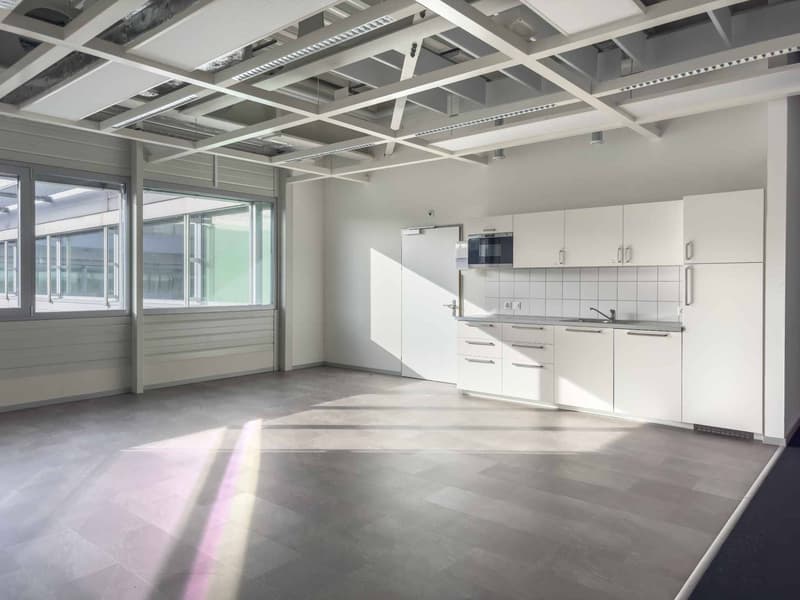 Vernier - Plateau de 5'000 m2 en attique - Immeuble IKEA (5)