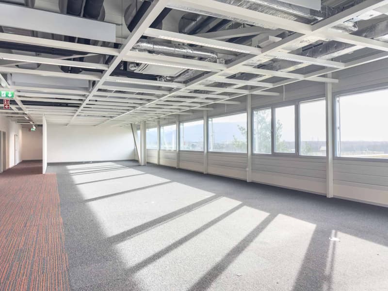 Vernier - Plateau de 5'000 m2 en attique - Immeuble IKEA (4)