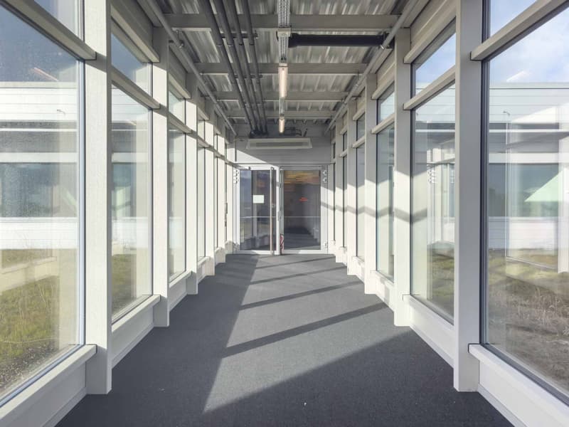 Vernier - Surface de 903 m2 en attique - Immeuble IKEA (3)