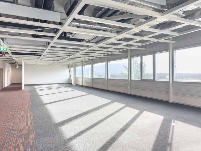 Vernier - Surface de 903 m2 en attique - Immeuble IKEA (2)