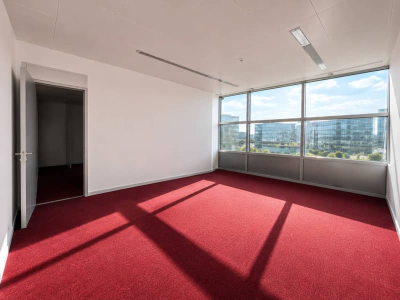 Bureaux d'env. 200 m²à louer Grand-Saconnex / Genève international (3)