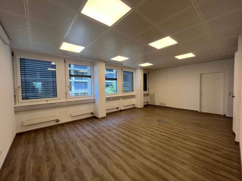 Bureaux 186m2 - Gare de Chêne-Bourg (5)