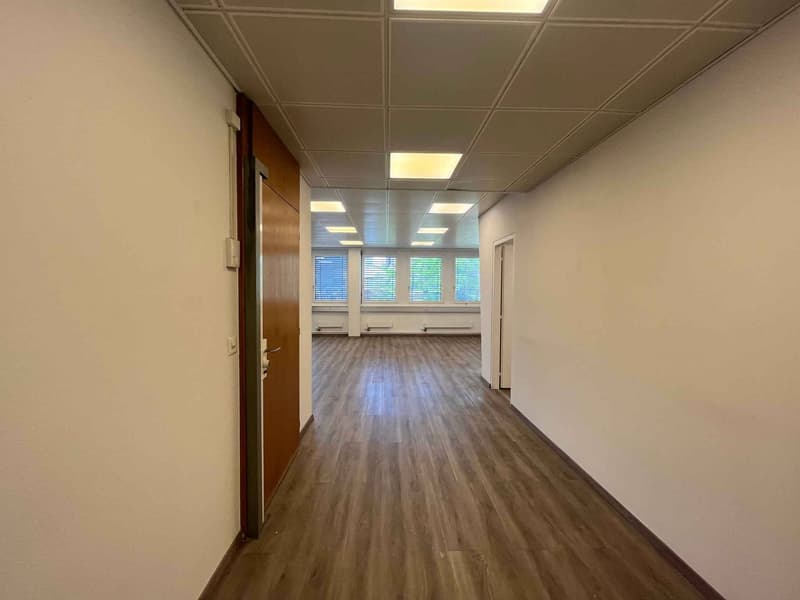 Bureaux 186m2 - Gare de Chêne-Bourg (7)