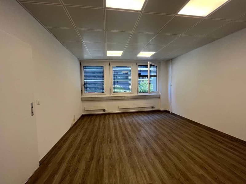 Bureaux 186m2 - Gare de Chêne-Bourg (9)