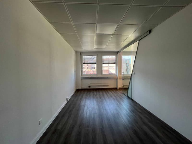 Bureaux 186m2 - Gare de Chêne-Bourg (8)