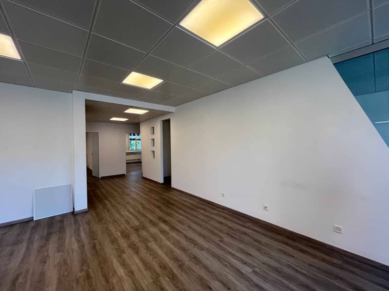 Bureaux 186m2 - Gare de Chêne-Bourg (4)