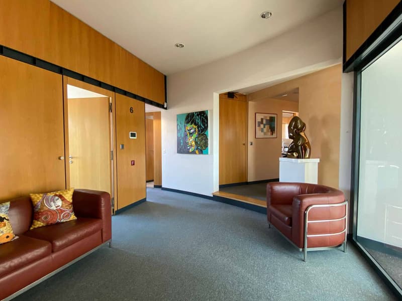 Bureaux à louer 158 m² au 6? étage à Carouge (4)