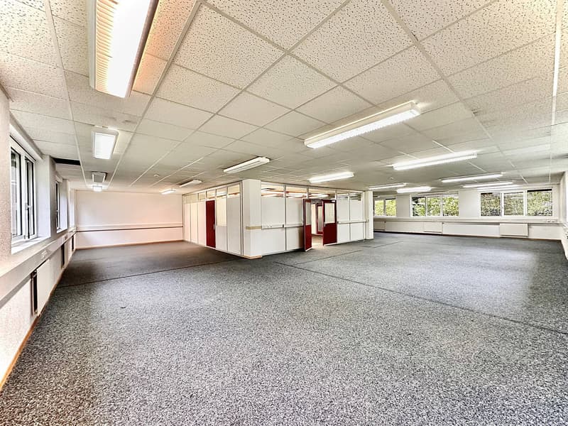 Atelier,dépôt, locaux de 490 m2 à louer à Lausanne (3)