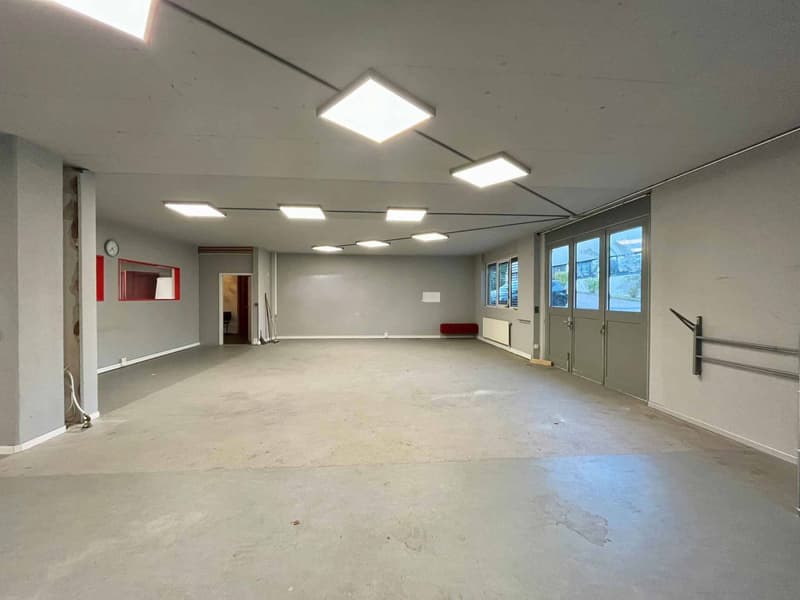 Atelier,dépôt, locaux de 490 m2 à louer à Lausanne (2)