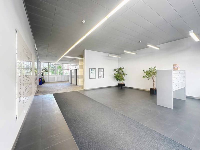 Espace Innovant au Cur de Lausanne - Idéal pour Laboratoires, Cleantech & Industrie Légère (7)