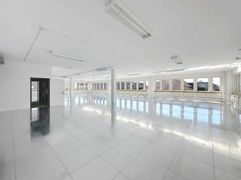 Espace Innovant au Cur de Lausanne - Idéal pour Laboratoires, Cleantech & Industrie Légère (5)