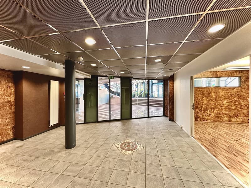 Showroom, bureaux, locaux de 180 m2 à louer à la Chaux-de-Fonds (3)