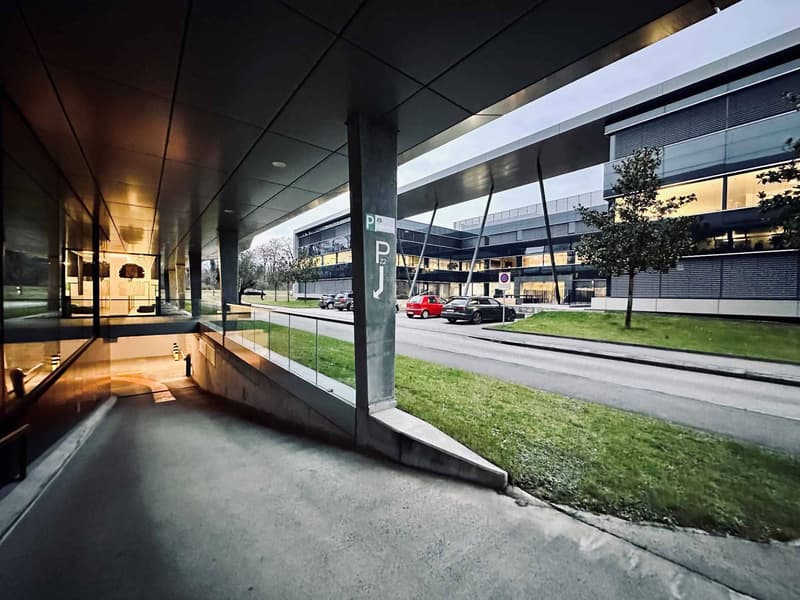 À LOUER - Espace de stockage de 680 m² à Eysins, à deux pas de Genève ! (2)