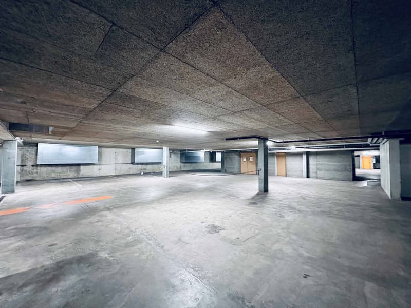 À LOUER - Espace de stockage de 680 m² à Eysins, à deux pas de Genève ! (3)