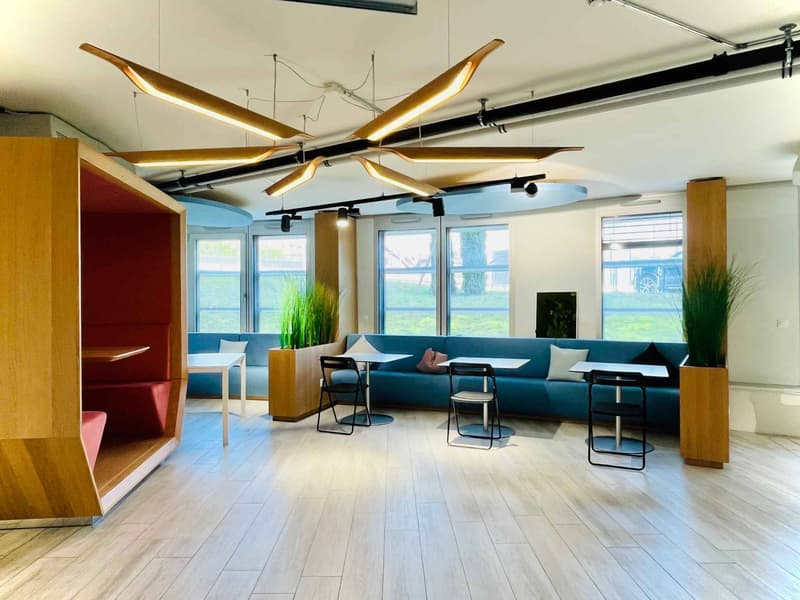 Bureaux, locaux de 450 m2 à louer (3)