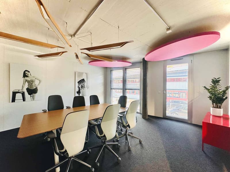 Bureaux, locaux de 450 m2 à louer (8)