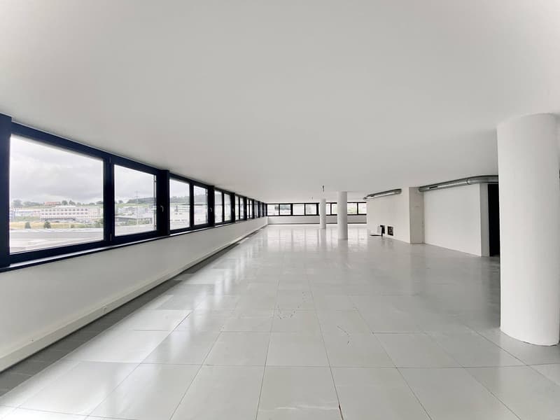 Atelier, laboratoire, locaux neufs de 300 m2 à louer à 10 minutes de Fribourg (2)